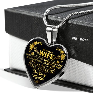 The Most Meaningful Gifts to My Future Wife Frame, Gifts for Women who Have Everything Gift I Love You Life On Xmas, Birthday Luxury Necklace, Valentine
